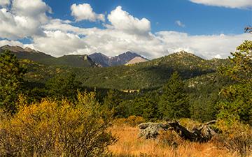 A panoramic autumn view of the Rocky Mountains under a blue sky, with golden shrubs and green pine trees in the foreground.